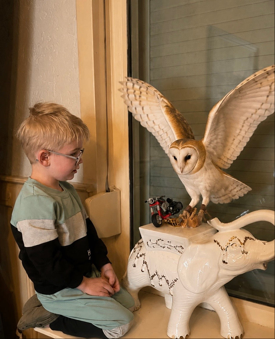 Is het legaal om een kerkuil als huisdier te hebben? Mag dit in Nederland?
